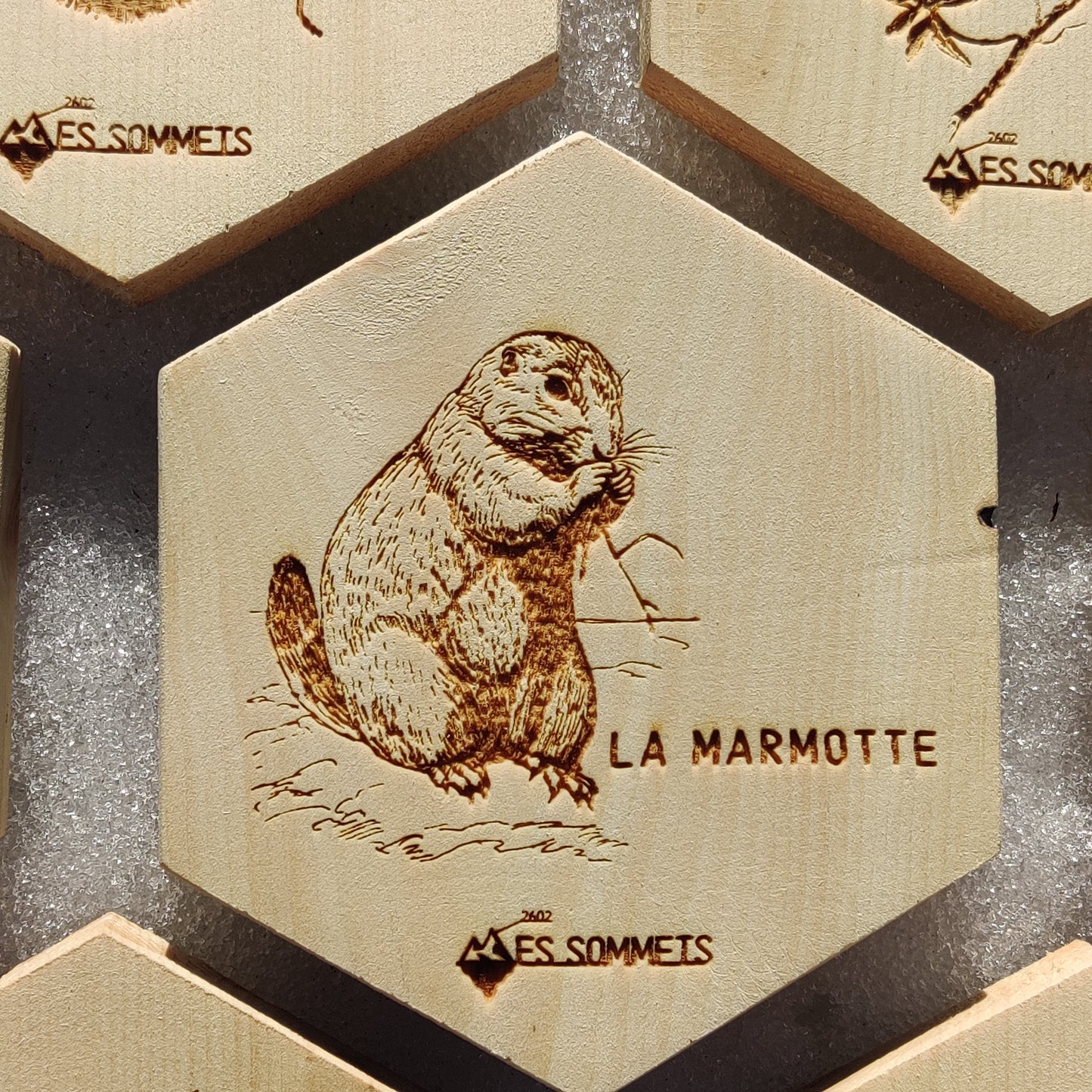 Gravure bois "La Marmotte"